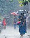 11 மாவட்டங்களில் கனமழை14