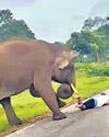 கர்நாடக வனப்பகுதி அருகே செல்பி எடுக்க முயன்றவரை விரட்டி தாக்கிய காட்டுயானை கர்நாடக வனப்பகுதி அருகே செல்பி எடுக்க முயன்றவரை விரட்டி தாக்கிய காட்டுயானை9