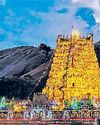தட்டு என்பது மனித குலத்துக்கு எதிரானது ஒருவர் மத வழிபாட்டில் மற்றவர் தலையிட முடியாது தட்டு என்பது மனித குலத்துக்கு எதிரானது ஒருவர் மத வழிபாட்டில் மற்றவர் தலையிட முடியாது12