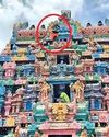 விராலிமலையில் தேசிய கொடியுடன் கோயில் கோபுரத்தில் ஏறி போராடியவர் பரிதாப பலி9