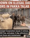 Encroachment Without Registry, Cattle on Roads, and Misbehavior with Officials: Crackdown on Illegal Dairy Operators in Pakka Talab Area Encroachment Without Registry, Cattle on Roads, and Misbehavior with Officials: Crackdown on Illegal Dairy Operators in Pakka Talab Area7