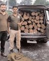 Vehicle Seized Jointly by Police & Forest Dept. with Illegal Khair Wood Near Kanger Morh, Gharota; Driver Escapes2