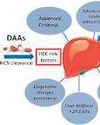 Hepatitis C Increases cancer risk Hepatitis C Increases cancer risk53
