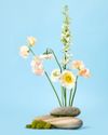 WE BELIEVE IN UNEARTHING BEAUTY, HOWEVER HIDDEN OR SUBTLE IT MIGHT BE. WE BELIEVE IN UNEARTHING BEAUTY, HOWEVER HIDDEN OR SUBTLE IT MIGHT BE.16
