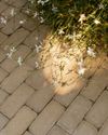 Pave the Way Pave the Way5