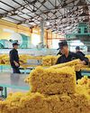 Agricultural export markets diversify Agricultural export markets diversify22