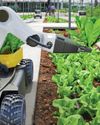 Agriculture to benefit from digital tech Agriculture to benefit from digital tech