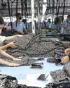 Vietnam Investment Review