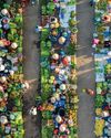 Vietnam Investment Review