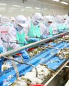 Vietnam Investment Review
