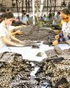 Vietnam Investment Review