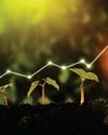Vietnam Investment Review