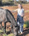 Polokwane Review