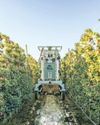 AI COMES TO THE APPLE ORCHARD-FROM POLLINATING TO PRUNING TO PICKING