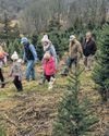 Christmas Tree Sales Reveal Slower Holiday Spending7