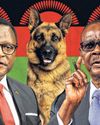 A Custody Battle Over Dogs Rocks an African Nation0