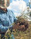 Carbon Credits Help Ranchers Keep Land45