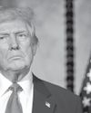 What's New in Trump Two31