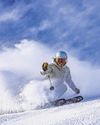 Ski Retreats Reveal the Office 'Moguls' Ski Retreats Reveal the Office 'Moguls'24