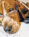 Dogged With Tax Problems? Here Are Tips28