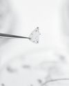 Durable Solutions Urged to Curb Microplastics62