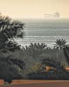 Wall Street Readies for Impact, As Oil Climbs, Futures Fall Wall Street Readies for Impact, As Oil Climbs, Futures Fall5