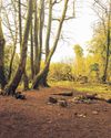 Mapping A Secret Ireland59