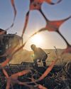 New Front Opens To Break China’s Rare-Earth Grip New Front Opens To Break China’s Rare-Earth Grip35