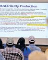 Texas Ranchers Take On Once-Vanquished Cattle Killer Texas Ranchers Take On Once-Vanquished Cattle Killer8