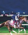 Buick backs Rattle N Roll for Dubai World Cup glory Buick backs Rattle N Roll for Dubai World Cup glory46
