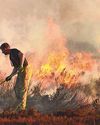 UK wildfires push records in early 202536
