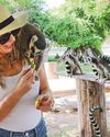 Portion of Safari Park ticket sales to fund research Portion of Safari Park ticket sales to fund research