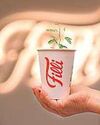 A tree in a teacup: FiLLi Café driving a green change13