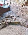 Pompeii ruins show signs of life post eruption38