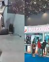 DOGGY DRAMA19