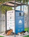 Dubai Municipality launches initiative to feed stray animals1