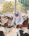UAE secures food supply ahead of Eid12