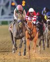 Dubai World Cup is 'our Olympics'33