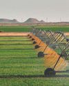 How the UAE kept food flowing through a crisis20