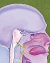 The ninth nerve THE WEEK India