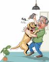 Old dog can learn new tricks THE WEEK India