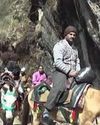 Uttarakhand heightens alert as equine influenza detected along Char Dham Yatra route NF Times