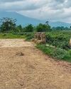 Kukis oppose Meiteis' annual pilgrimage to Thangjing hill in Manipur NF Times