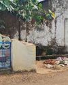 Violation of Govt. Transfer Order by agency at NAC Kotpad and Municipality Koraput NF Times