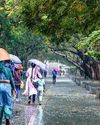 Storms & Rain Continue Disruption, Weather Alerts Issued In MP, Chhattisgarh NF Times