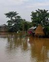 Over 5 lakh affected in Assam floods, Northeast toll rises to 38 NF Times