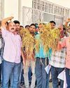 Odisha farmers protest demanding government intervention after crop damage by untimely rain NF Times