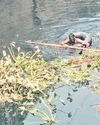 'Inhumane' Cuttack municipal body forces workers to clean drain without safety gear NF Times