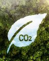 Embed Indian carbon market in global trade context NF Times