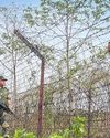 With SC case still pending, Assam man 'pushed' into Bangladesh returns home NF Times